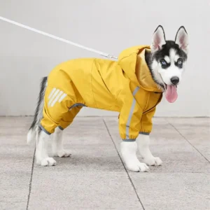 Manteau imperméable pour chien