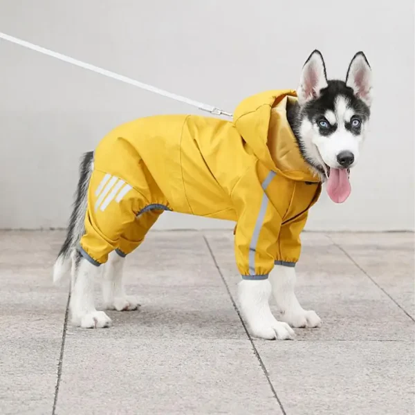 Manteau imperméable pour chien