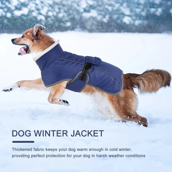 Manteau hiver imperméable chien – Image 4