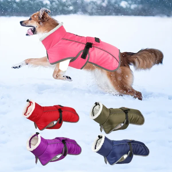 Manteau hiver imperméable chien – Image 2
