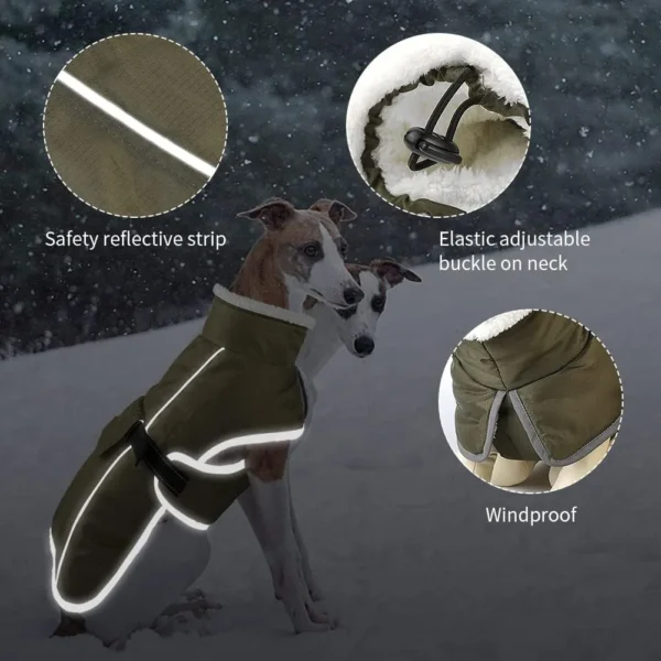 Manteau hiver imperméable chien – Image 6